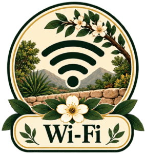 Wi-Fi
